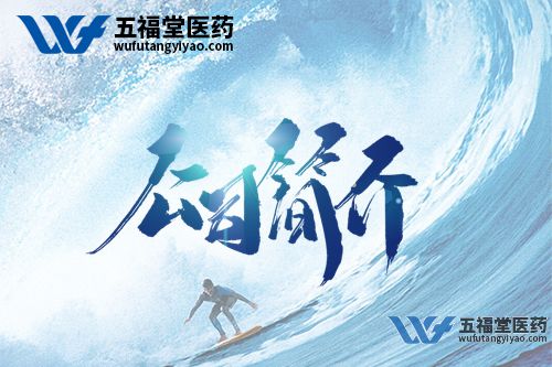 公司简介